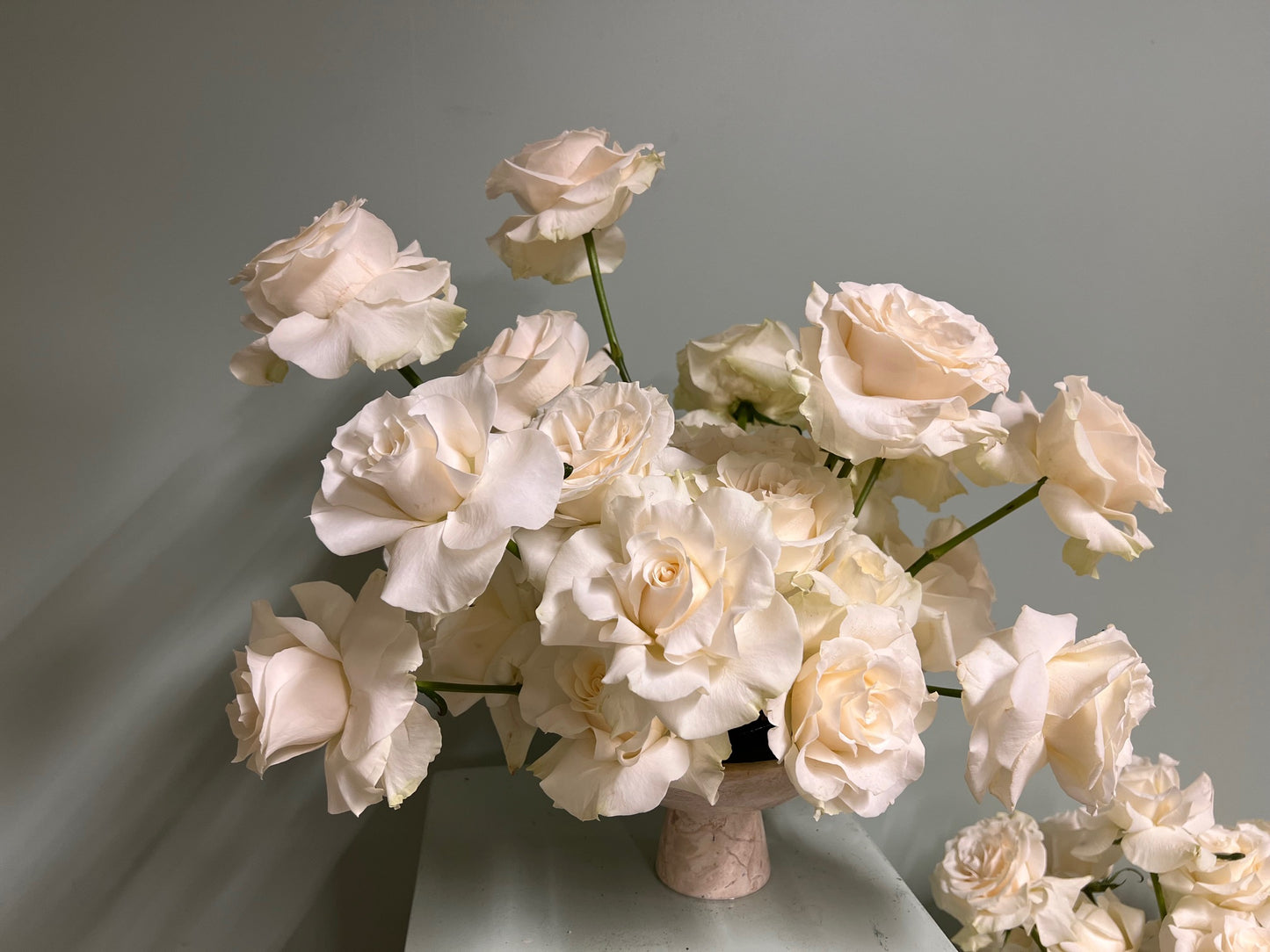 white roses
